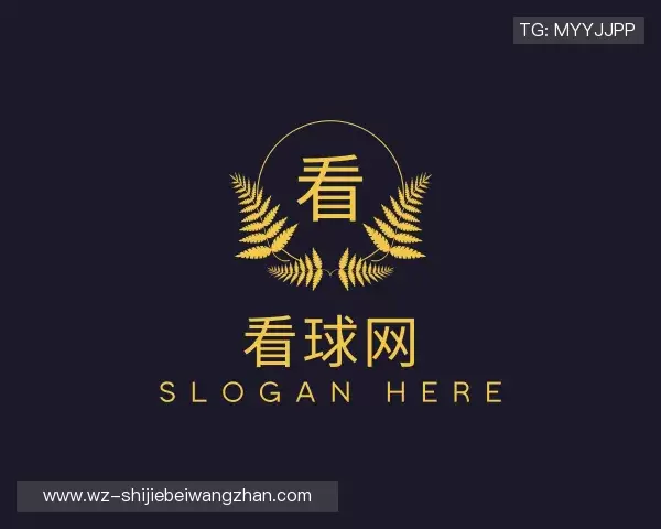解读看球网